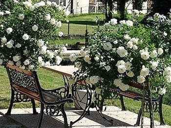 Hotel La Chaum'Yerres Chaumes-en-Brie ภายนอก รูปภาพ